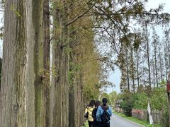 -上海长兴岛郊野公园