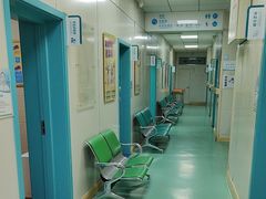 -北京观赏动物医院·24小时大型综合·猫专科·异宠专科