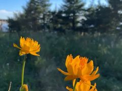 -白草畔自然风景区