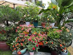 -山水茶艺馆·点心粤菜·30年老字号