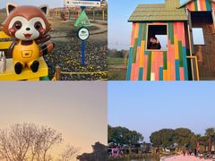 -苏州太湖西山岛开心农场