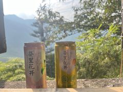 -篁岭景区