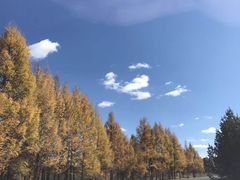 -塞罕坝国家级自然保护区