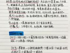 -那香海钻石沙滩浴场