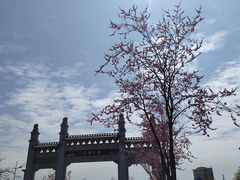 -松鹤墓园-停车场