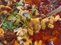 乌鱼美牛蛙混吃-重庆何乌鱼(南湖逸家店)
