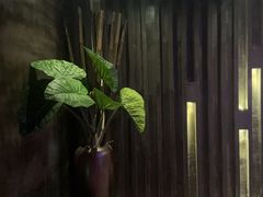 -观唐足道SPA养生会馆(南湖店)