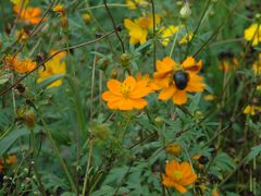 -武陵山森林公园