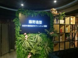 点击看大图 -藤野造型