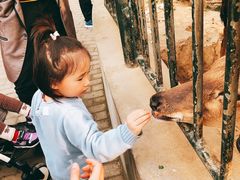 -无锡动物园·太湖欢乐园