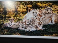 -罗红摄影艺术馆