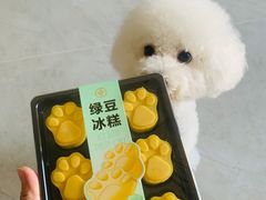 绿豆冰糕-爱达乐面包生日蛋糕(温江新尚天地店)