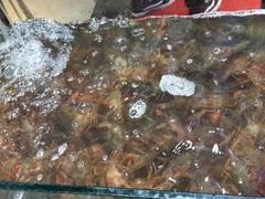-叁宝烤肉• 西安烧烤(高科新花园店)