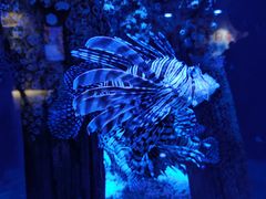 -成都浩海立方海洋公园