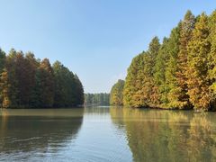 -上海海湾国家森林公园