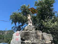 -大岭沟猕猴桃谷风景区