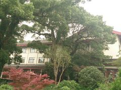 android_upload_pic-普陀山雷迪森庄园