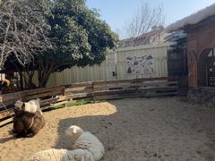 -HERRE·FARM 赫尔露营农场·团建聚会包场