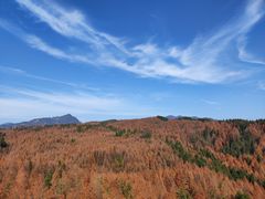 -山王坪喀斯特国家生态公园