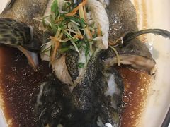-琼大师东方烤乳猪(亚特兰蒂斯店)