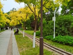 -南翠屏公园
