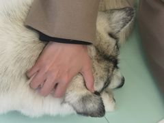 -怪兽屋·羊驼·猫咖·狗咖(俊华广场店)