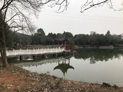 -青龙山国家森林公园