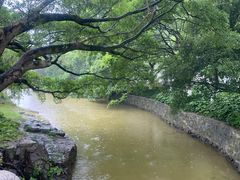 -江心屿景区