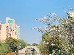 -高东镇樱花园