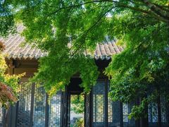 -上海醉白池公园