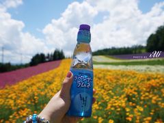 -富田农场