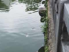 -苏州碑刻博物馆