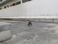 -轻武器博物馆
