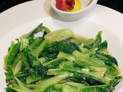 -食德喜·阳山鸡王食研基地