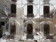 -上海君和堂中医门诊部(徐汇店)