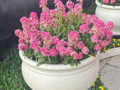 -南京钟山宾馆(江苏省会议中心)