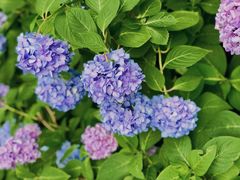 -常州古运河南大街文化旅游区-人民公园