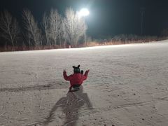 -东北亚滑雪场
