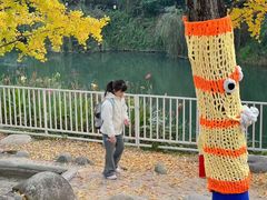 -成都欢乐谷