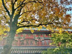 -灵谷景区