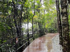 -呀诺达热带雨林