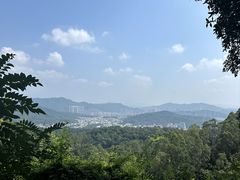 -火炉山森林公园