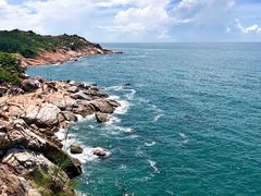 -广东惠东海龟国家级自然保护区