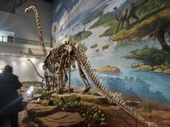 -自贡恐龙博物馆