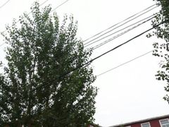 -沈阳市第二十六中学