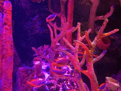 -沈阳海洋探索中心