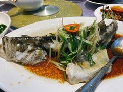 清蒸罗非鱼-联邦酒楼