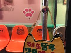 -猫咪博物馆(顶澳仔猫街店)