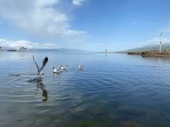-青海湖国家重点风景名胜区