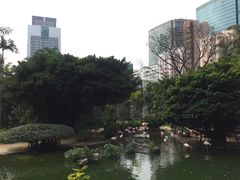 景点-九龙公园